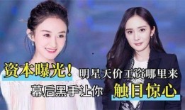 娱乐圈幕后工作爆料小说,揭秘明星背后的神秘力量