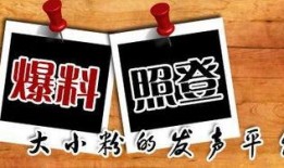 重点新闻爆料平台,聚焦重点新闻爆料平台最新动态