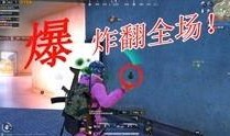 原神鸡哥爆料视频大全集,揭秘游戏幕后故事与精彩瞬间