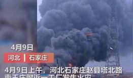 石家庄农村爆料视频曝光,石家庄农村爆料视频揭露惊人真相