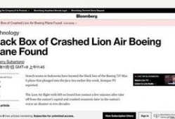 外媒爆料黑匣子视频下载,揭秘事故真相瞬间