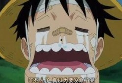 路飞最新爆料是什么动漫,揭秘神秘新动漫，热血冒险再掀高潮！