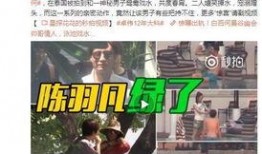 新丽总裁最新爆料视频,独家爆料背后的行业真相与未来展望