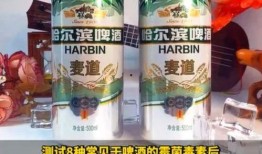 劲爽啤酒爆料视频播放大全,畅饮瞬间，尽享冰凉夏日