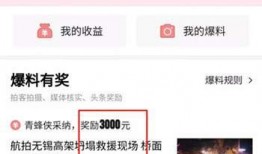 信阳头条今日爆料,揭秘背后惊人真相！