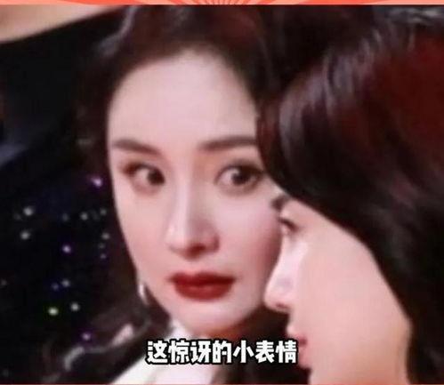 娱乐圈的瓜你吃吗,揭秘明星幕后故事